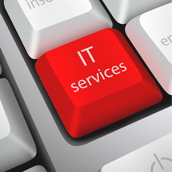 Professional Business IT Service